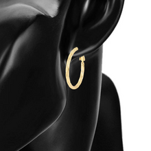 Load image into Gallery viewer, 14 K Gold Plated Hoops earrings
