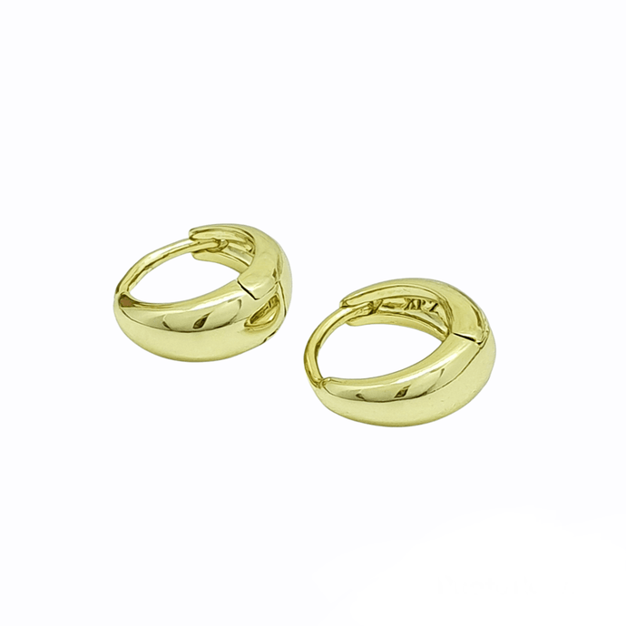 14 K Gold Plated earrings - BIJUNET